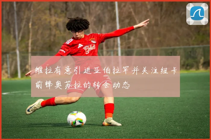 维拉有意引进亚伯拉罕并关注纽卡前锋奥苏拉的转会动态