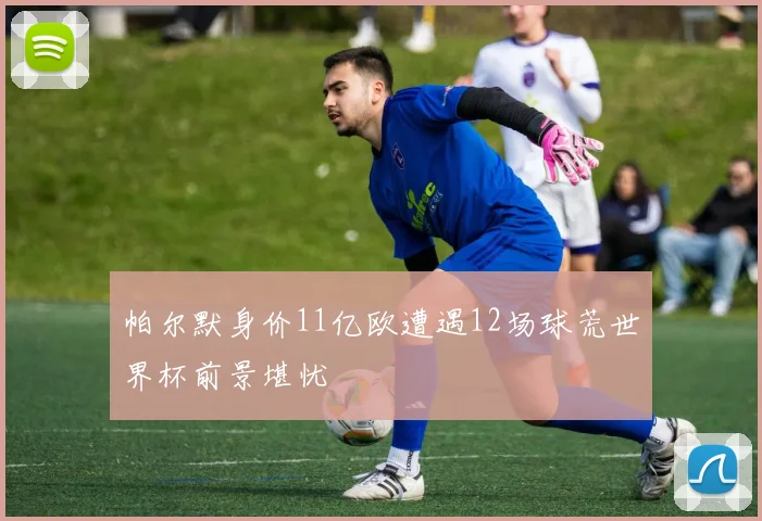 帕尔默身价11亿欧遭遇12场球荒世界杯前景堪忧