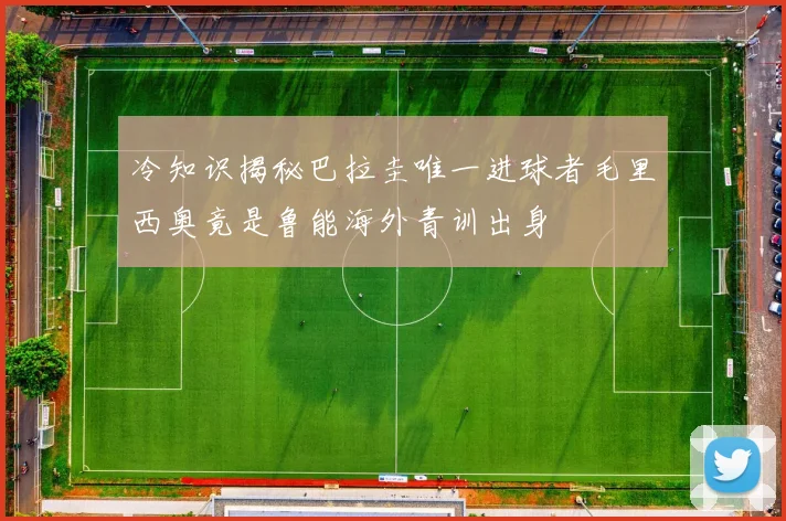 冷知识揭秘巴拉圭唯一进球者毛里西奥竟是鲁能海外青训出身