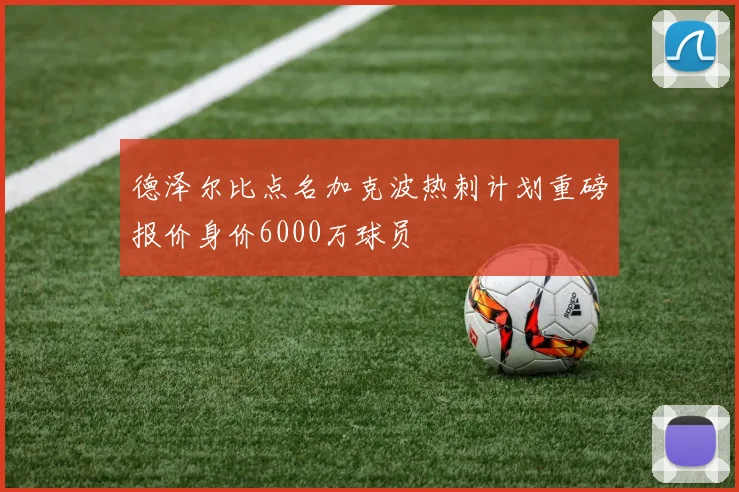 德泽尔比点名加克波热刺计划重磅报价身价6000万球员