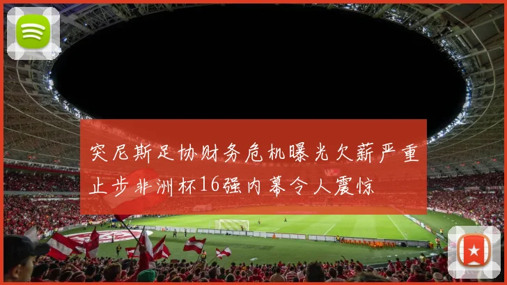 突尼斯足协财务危机曝光欠薪严重止步非洲杯16强内幕令人震惊