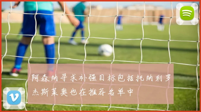 阿森纳寻求补强目标包括托纳利罗杰斯莱奥也在推荐名单中