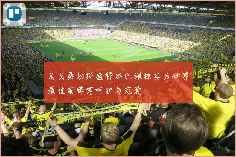 乌戈桑切斯盛赞姆巴佩称其为世界最佳前锋需呵护与宠爱